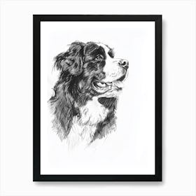 Bernese Mountain Dog Line Sketch 1 Art Print