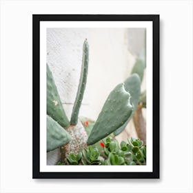 Cactus Garden Art Print