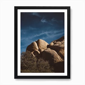 Joshua Tree National Park XIII Art Print