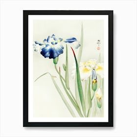 Irises (1900 1936), Ohara Koson Art Print