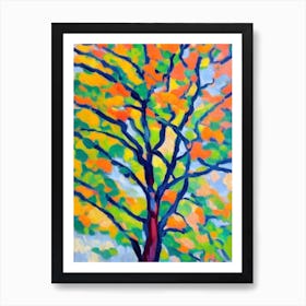 Sweetgum tree Abstract Block Colour Art Print