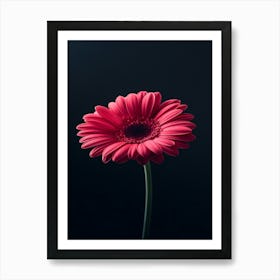 Pink Gerbera Flower 1 Art Print