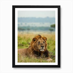 Lion In The Grass, Kenya Art Print