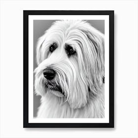 Briard B&W Pencil Dog Art Print