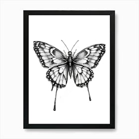 Butterfly Drawing 1 Art Print