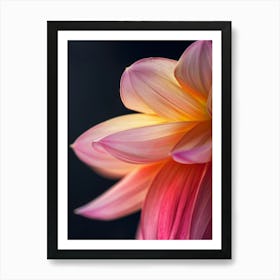 Orange Flower 10 Art Print