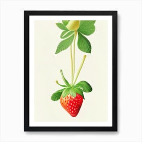 Everbearing Strawberries, Plant, Marker Art Illustration 2 Art Print