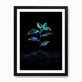 Neon Plant In The Dark Affiche