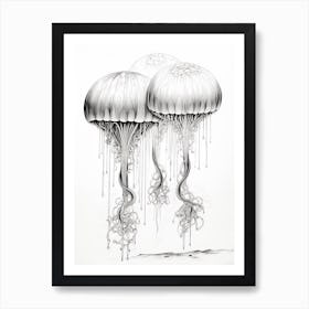 Moon Jellyfish Drawing 1 Art Print