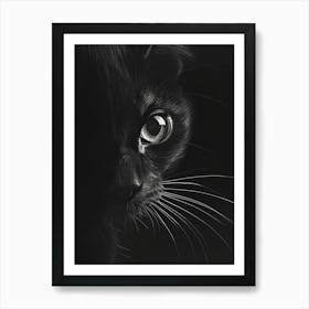 Black Cat 27 Art Print