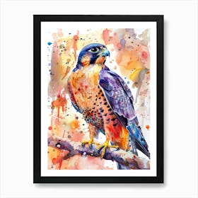 Falcon Colourful Watercolour 4 Art Print