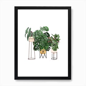 House Plants 3 Art Print