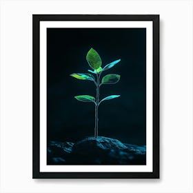 Tree Growing On The Rock Poster