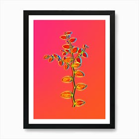Neon Christ's Thorn Botanical in Hot Pink and Electric Blue n.0513 Art Print