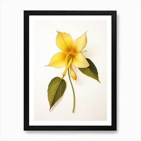 Pressed Wildflower Botanical Art Yellow Trillium Art Print