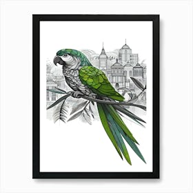 Bobo Parrot In The City Art Print