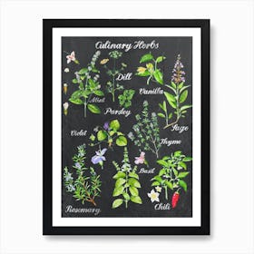 Kitchen Herbs Art Print