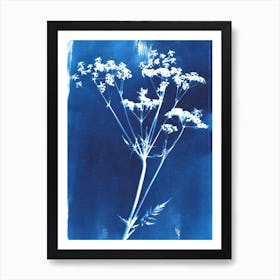 Cyanotype Wild Flower Art Print