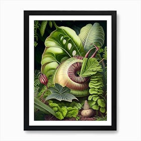 Garden Snail In Shaded Area Botanical Art Print
