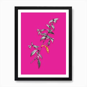 Vintage Birdbill Dayflower Black and White Gold Leaf Floral Art on Hot Pink n.0592 Art Print