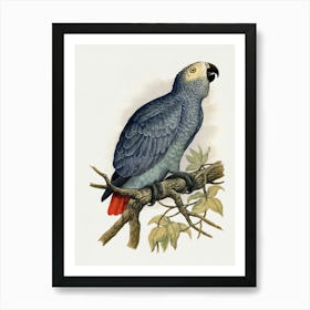 Parrot On A Branch 9 Art Print