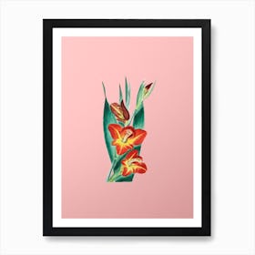 Vintage Parrot Gladiole Flower Botanical on Soft Pink n.0128 Art Print