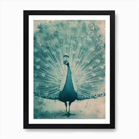 Vintage Turquoise Peacock With Feathers Out Art Print