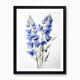 Pressed Flower Botanical Art Delphinium 1 Art Print