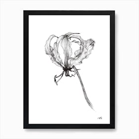 Black and White Flame Lilly 2 Art Print