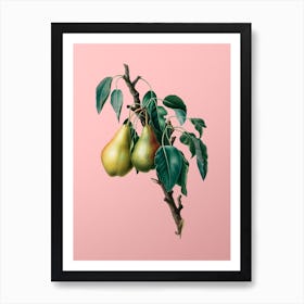 Vintage Lemon Pear Botanical on Soft Pink n.0851 Art Print