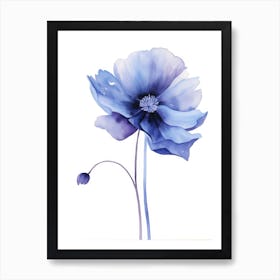 Blue Poppy Watercolor Painting Art Print