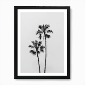 California Palm Trees Art Print