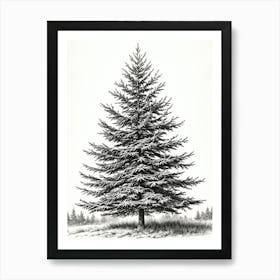 Fir Tree Pencil Sketch Ultra Detailed 8 Art Print