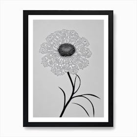 Queen Anne's Lace B&W Pencil 1 Flower Art Print