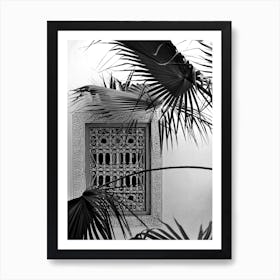 Palms And Garden Dreams Black And White Art Print