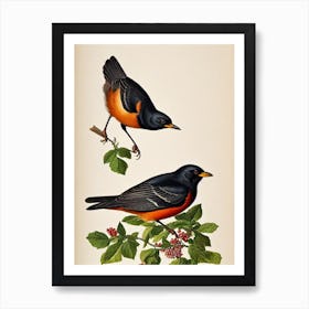 Blackbird James Audubon Vintage Style Bird Art Print