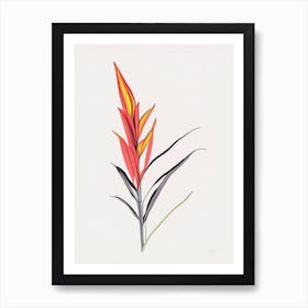 Heliconia Floral Minimal Line Drawing 4 Flower Art Print