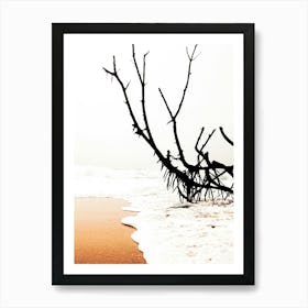 Dead Tree On The Beach Art Print