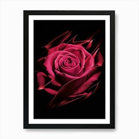 Pink Rose On Black Background 2 Art Print