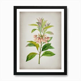 Vintage Chinese New Year Flower Botanical on Parchment n.0843 Art Print