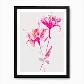 Hot Pink Gloriosa Lily 3 Art Print