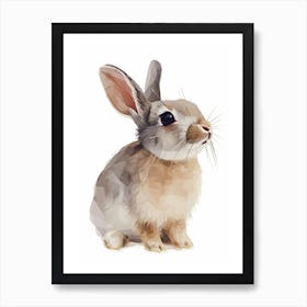 Himalayan Rabbit Kids Illustration 3 Art Print