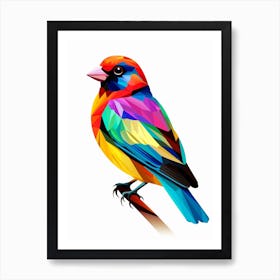 Colourful Geometric Bird Finch 1 Art Print