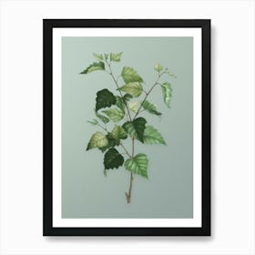 Vintage Silver Birch Botanical Art on Mint Green n.0648 Art Print