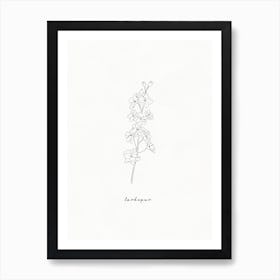 Larkspur Line Drawing Art Print