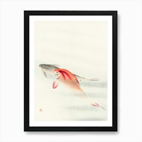 Two Carp (1900 1930), Ohara Koson 1 Art Print