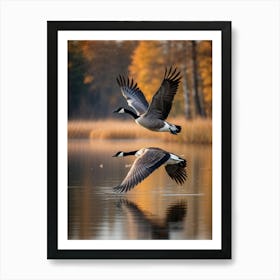 Canadian Goose Mid Flight Over A Serene Lake Reflection Shimmering On The Waters Surface Autumn (1) Art Print