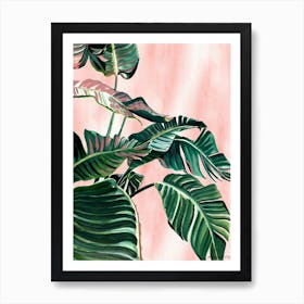 Courtyard Corner Art Print