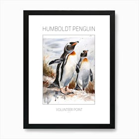 Humboldt Penguin Volunteer Point Watercolour Painting 2 Poster Art Print