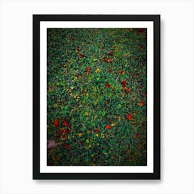 Grass Nature Meadow Art Print